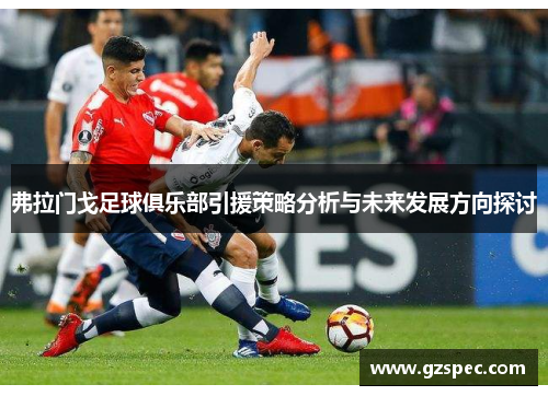 弗拉门戈足球俱乐部引援策略分析与未来发展方向探讨