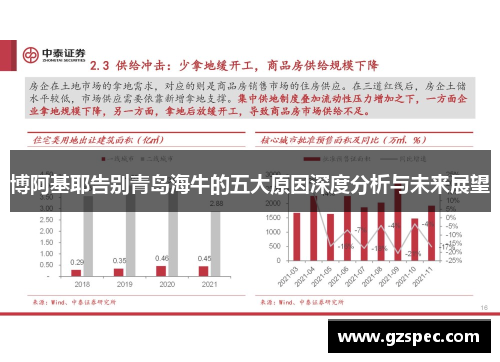 博阿基耶告别青岛海牛的五大原因深度分析与未来展望