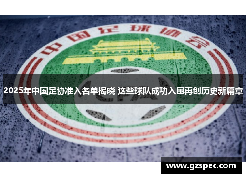 2025年中国足协准入名单揭晓 这些球队成功入围再创历史新篇章