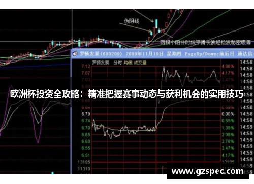 欧洲杯投资全攻略：精准把握赛事动态与获利机会的实用技巧