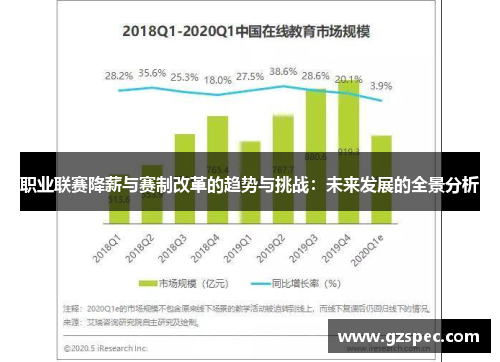 职业联赛降薪与赛制改革的趋势与挑战：未来发展的全景分析
